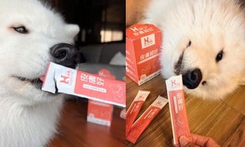 Hyperr皮膚益生菌．有多層的包埋技術