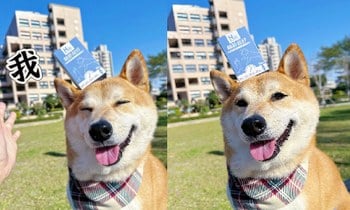 Hyperr關節保健品．維持活動力