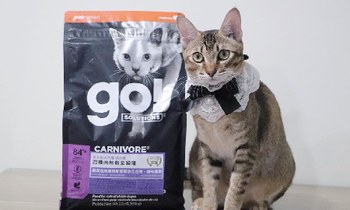 go!四種肉貓糧．想要持續購買