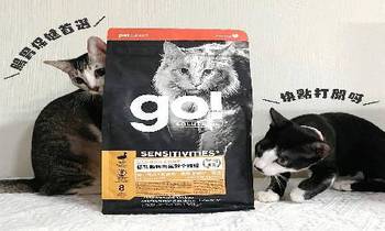 go! 鴨肉低敏貓糧．挑選合適的飼料