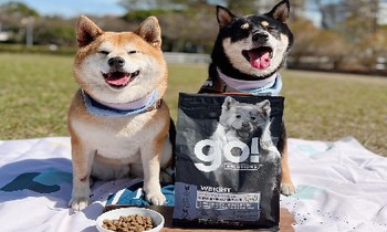 go! 關節保健犬糧．維持關節行動力
