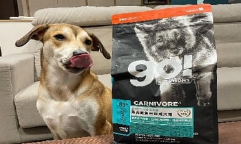 go! 雞肉鮭魚犬糧．可以整餐純吃go