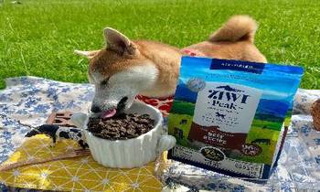 ZIWI巔峰風乾肉片．狗狗會搶著吃