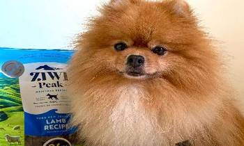 ZIWI巔峰風乾肉片．菜寶補充肉肉啦！