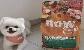 now紅肉小型犬糧．小顆粒更方便咀嚼！