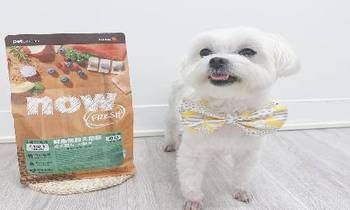 now鮮魚小型犬糧．小型犬咀嚼更輕鬆