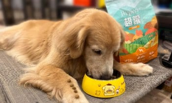 Hyperr無穀飼料．Latte 一下就吃光光