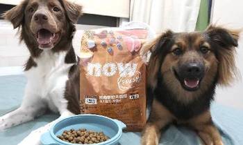 now鮮肉成犬糧．很推薦給挑食小狗