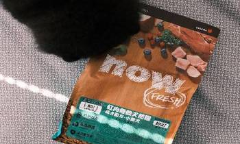 now紅肉小型犬糧．含有豐富的omega3、6