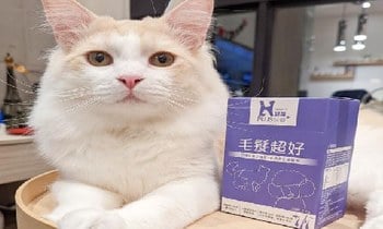 Hyperr毛髮超好保健品．選對產品保養