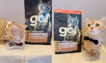 go!腸胃保健貓糧．幫助腸道消化