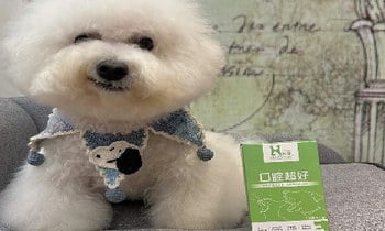 Hyperr口腔益生菌．一口白淨好牙齒