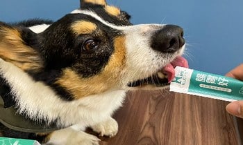 Hyperr腸胃益生菌．便便真的好健康