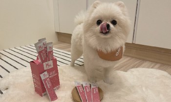 Hyperr腎泌益生菌．泌尿道保健有多重要