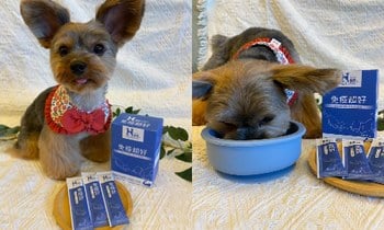 Hyperr免疫力保健品．適口性非常好