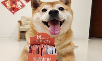 Hyperr皮膚益生菌．保持皮膚的穩定及健康