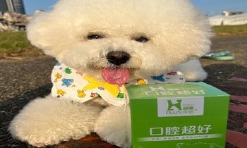 Hyperr口腔益生菌．根本救星降臨！