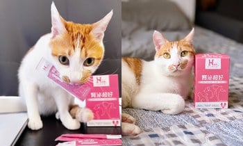 Hyperr腎泌益生菌．成分安心很多