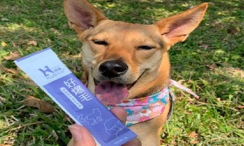 Hyperr毛髮超好保健品．打理毛髮小福星