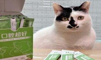 Hyperr口腔保健品．可以放膽對榻米親親啦