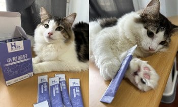 Hyperr毛髮超好保健品．讓毛更蓬鬆更亮麗