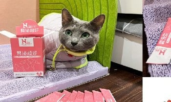 Hyperr腎泌益生菌．維護膀胱尿道健康