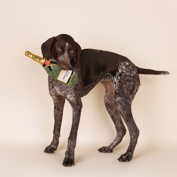 CHEWFFON 香檳系列 互動聲響玩具 啾啾聲 狗玩具 寵物玩具