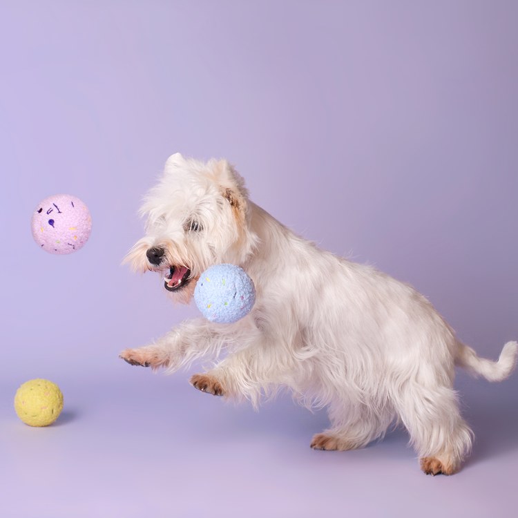 CHEWFFON 三色冰球 互動聲響玩具 啾啾聲 狗玩具 寵物玩具