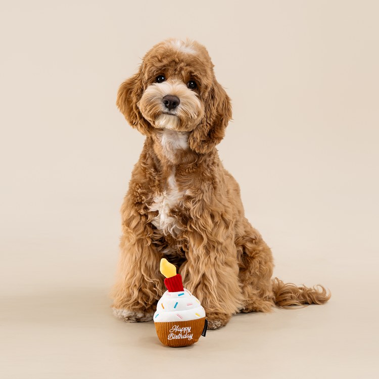 CHEWFFON 杯子蛋糕 藏食嗅聞玩具 啾啾聲 狗玩具 寵物玩具