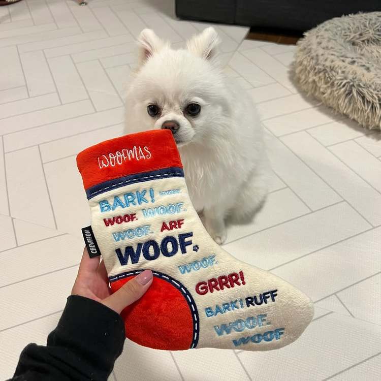 CHEWFFON 繽紛彩襪 藏食嗅聞玩具 啾啾聲 狗玩具 寵物玩具