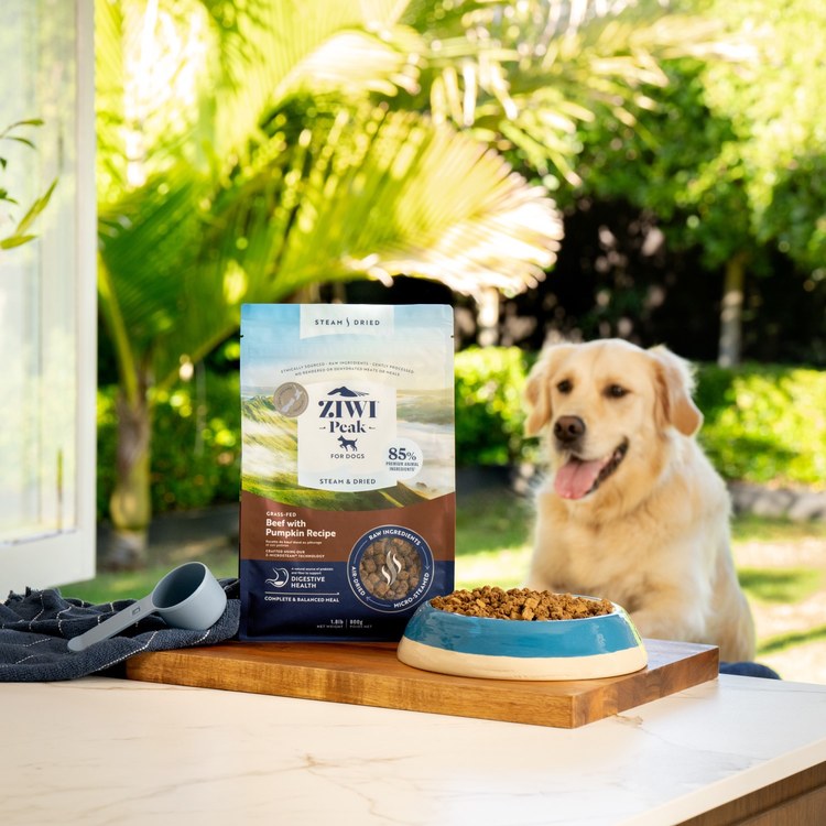 ZIWI巔峰 牛肉 微蒸熟成狗糧 體驗包(鮮肉顆粒|肉塊食感0肉粉)