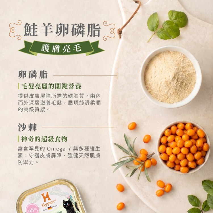 Hyperr超躍 全口味 貓咪德國主食罐 (貓罐|罐頭)