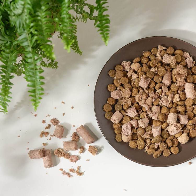 Hyperr超躍 狗狗無穀飼料+凍乾 300克 (狗凍乾|主食)