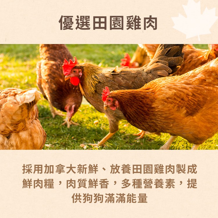 Hyperr超躍 貓咪無穀飼料+凍乾 (貓凍乾|主食)
