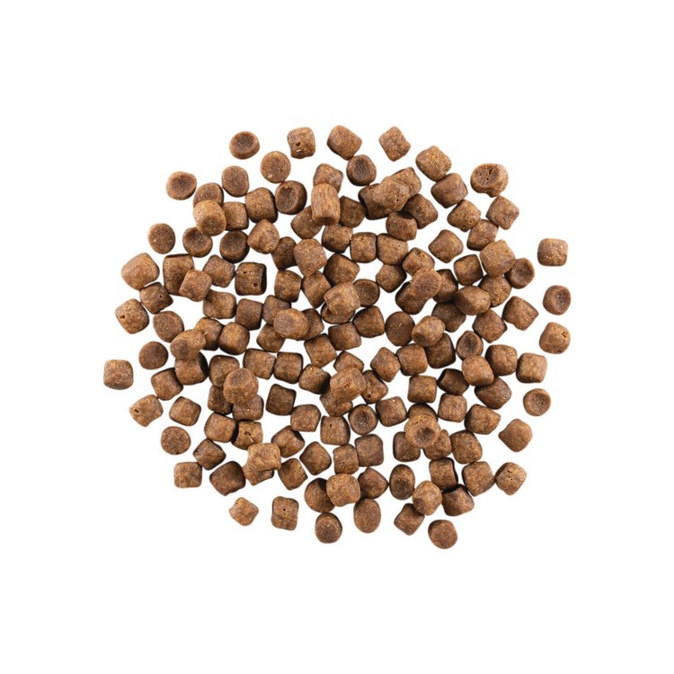 go! 低致敏系列 無穀貓糧 (貓飼料|貓乾糧)