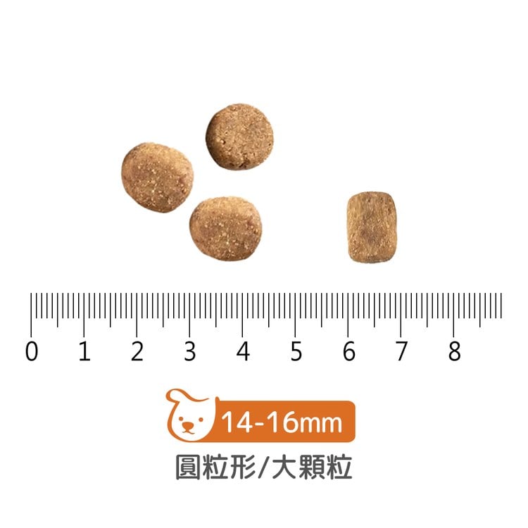 now 鮮肉大型幼犬 無穀天然糧 (狗飼料|狗糧)