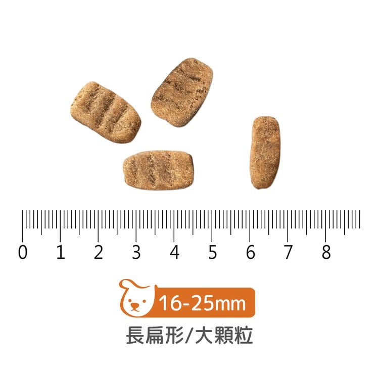 now 鮮肉大型老犬 無穀天然糧 (狗飼料|狗糧)