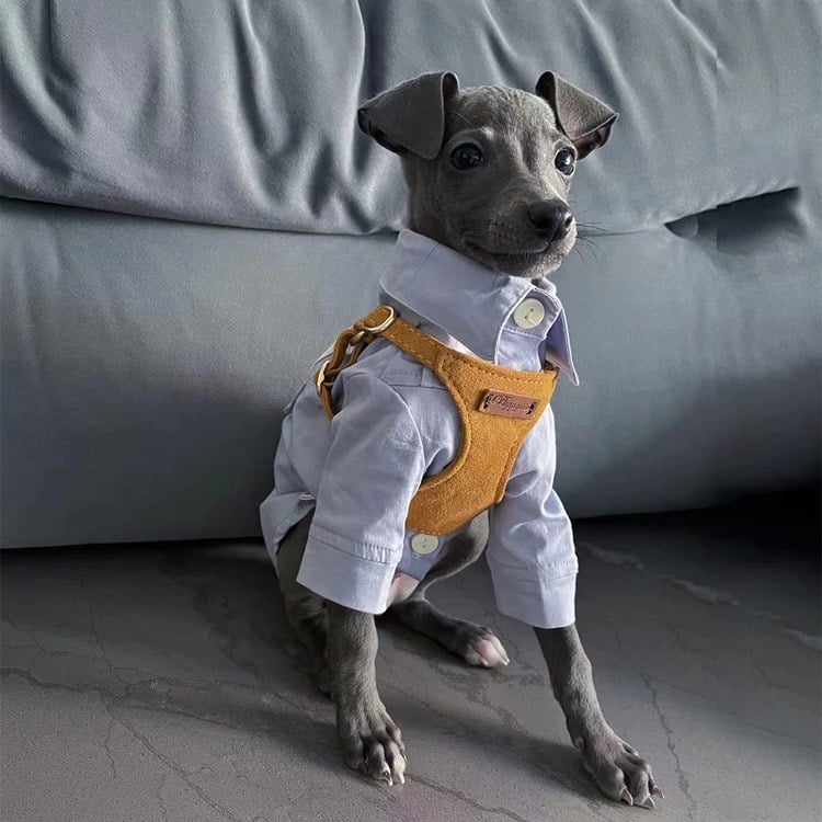 puppytie 胸背+牽繩組 純色系列 焦糖棕 (防止暴衝|穿戴舒適)