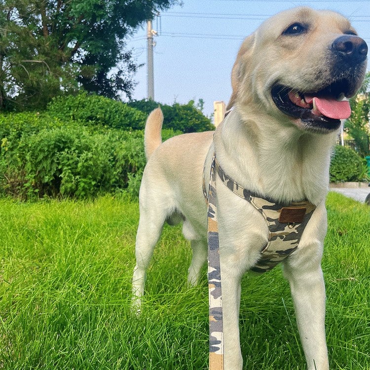 puppytie 胸背+牽繩組 大尺碼 迷彩色 森林綠 (防止暴衝|穿戴舒適)