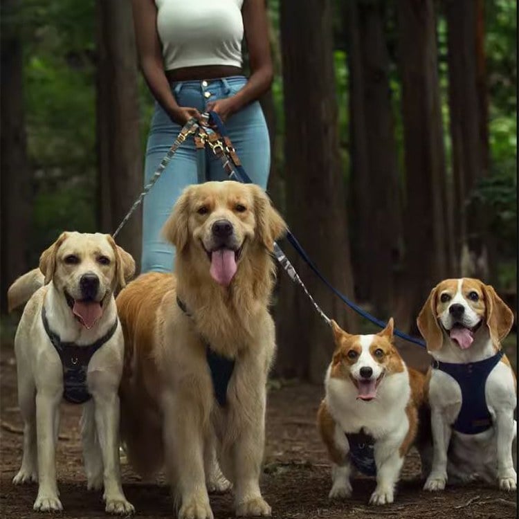 puppytie 胸背+牽繩組 大尺碼 迷彩色 森林綠 (防止暴衝|穿戴舒適)