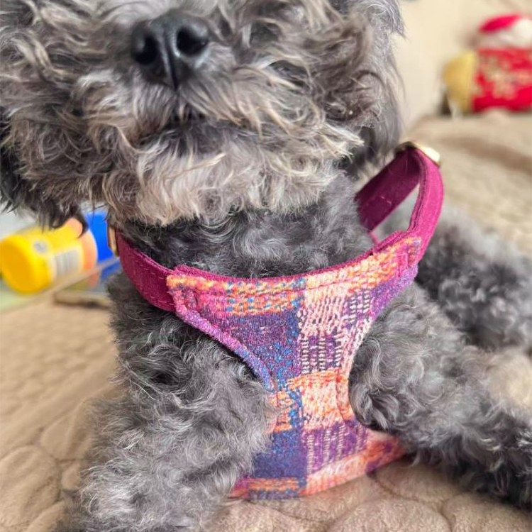 puppytie 胸背+牽繩組 莫內風 春光粉 (防止暴衝|穿戴舒適)