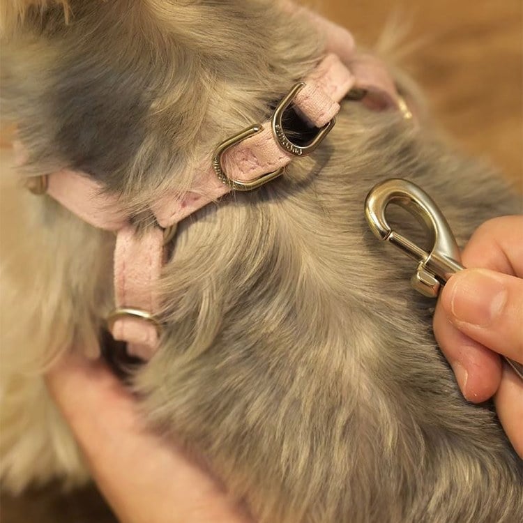 puppytie 胸背+牽繩組 粉色三角標 草莓粉 (防止暴衝|穿戴舒適)