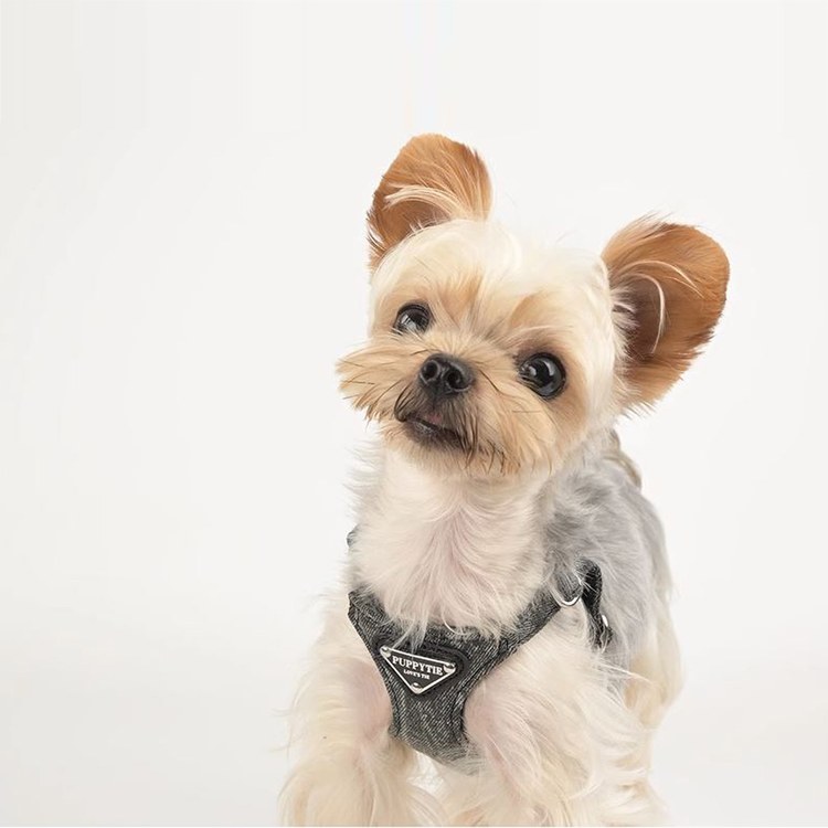 puppytie 胸背+牽繩組 牛仔三角標 水洗牛仔藍 (防止暴衝|穿戴方便)