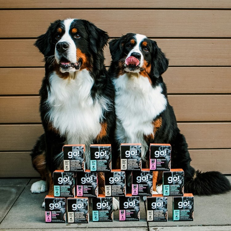 go! 全口味 狗鮮食利樂餐包 (狗罐|主食罐)