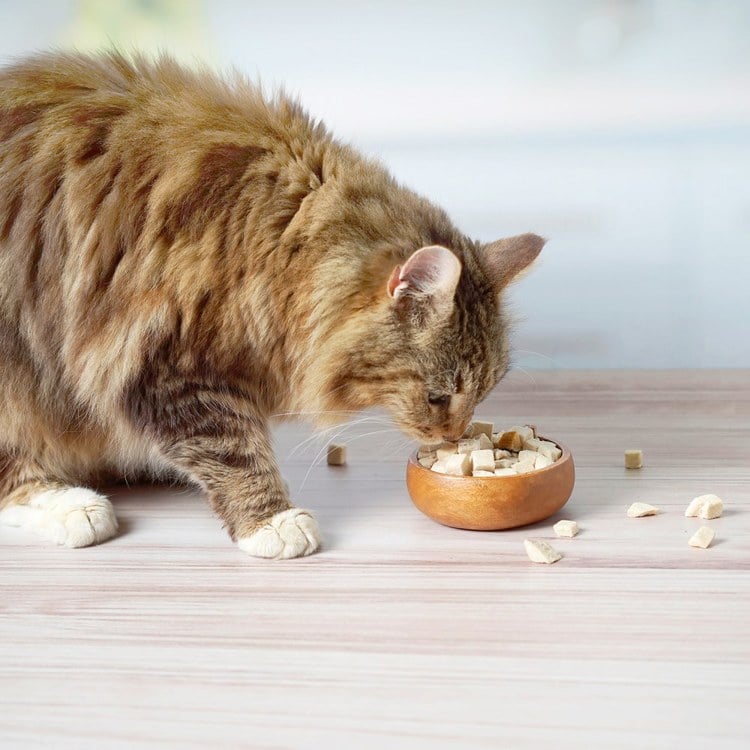 Hyperr超躍 牛肉鮭魚立方 凍乾零食 (貓零食|原肉零食)