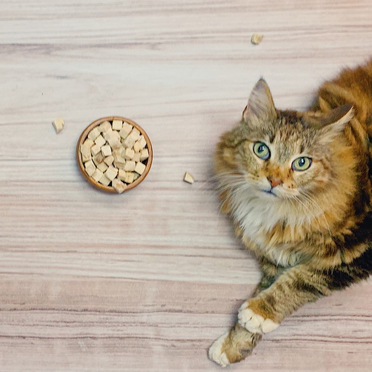 Hyperr超躍 牛肉立方 凍乾零食 (貓零食|原肉零食)