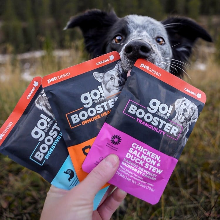 go! 品燉雞肉羊肉+糙米 腸胃保健 狗狗補給餐包 (狗罐頭|副食罐)