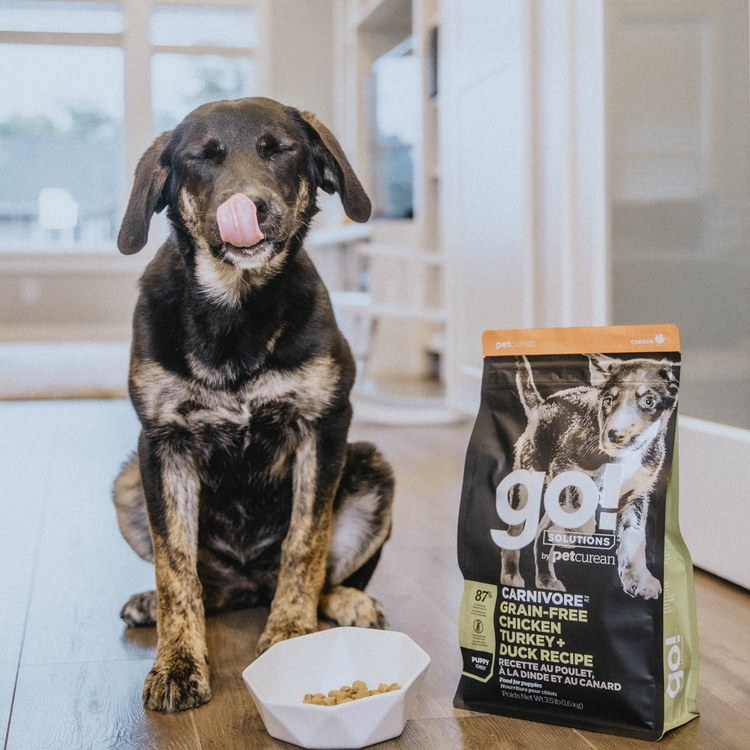 go! 加拿大無穀天然狗糧 3.5磅 (狗飼料|犬糧)