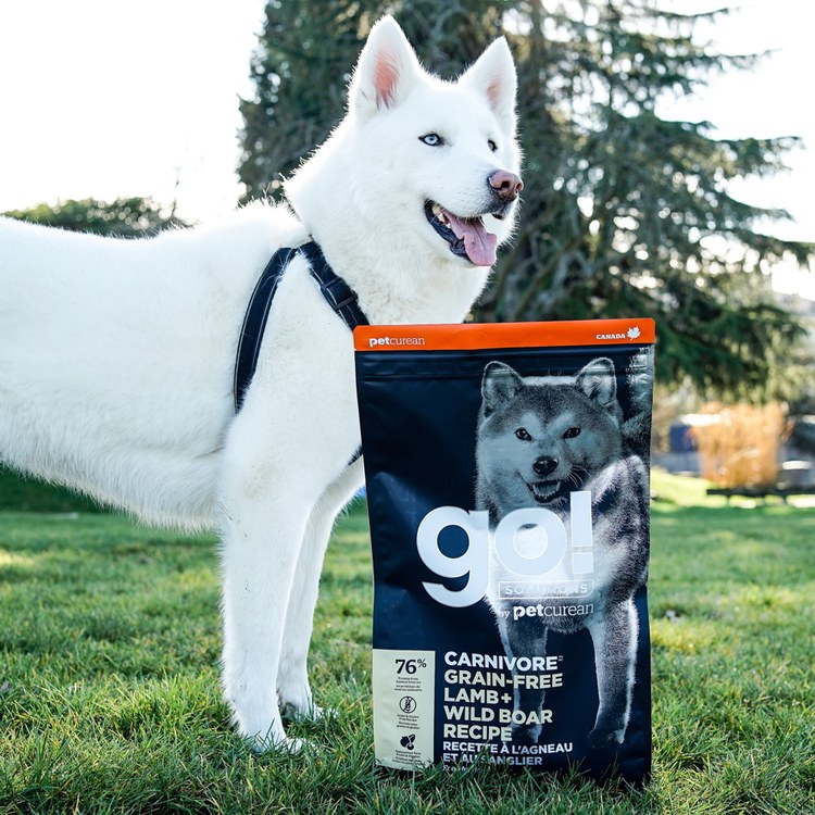 go! 加拿大無穀天然狗糧 3.5磅 (狗飼料|犬糧)