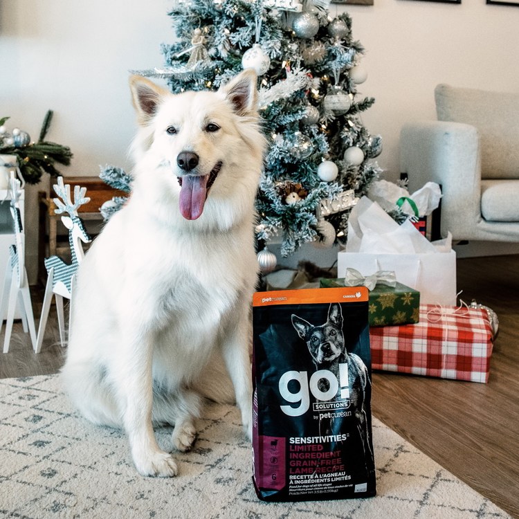 go! 全方位無穀天然狗糧 6磅 (狗飼料|犬糧)